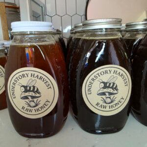 Understory Harvest July 2026 raw honey in 1 lb jars